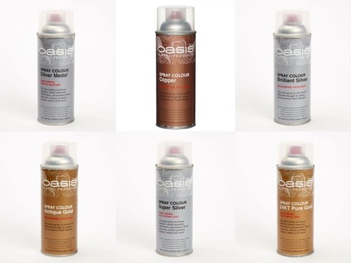 Vernice spray fiori oasis - vernice,